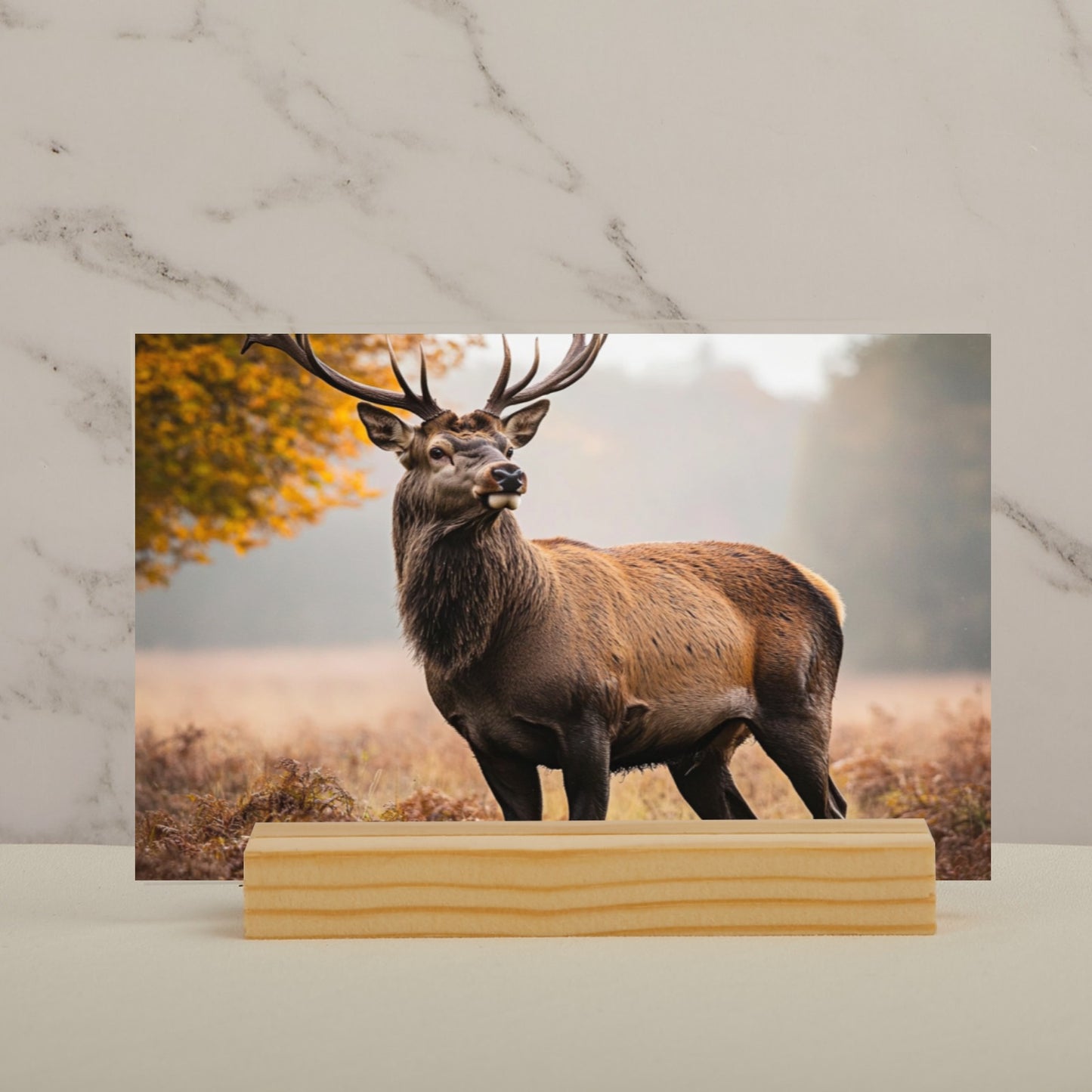 elk